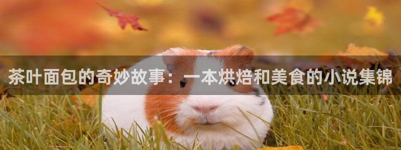 鸿运彩票诈骗平台