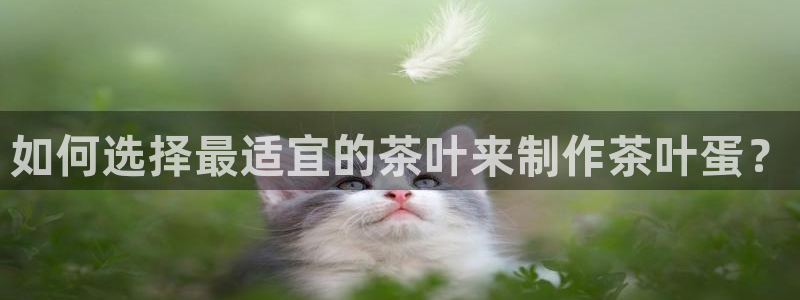 鸿运彩票平台可靠吗