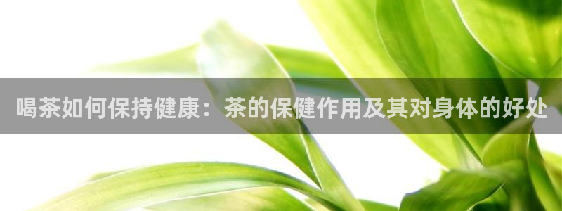 鸿运平台运