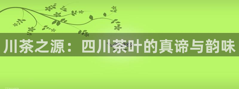 鸿运网平台用户