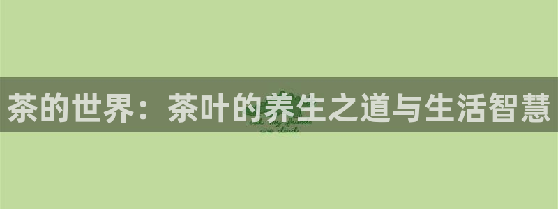 鸿运国际平台代理