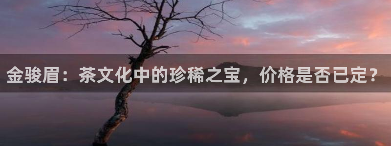 鸿运策略股票平台骗局