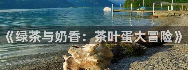 鸿运链锁管理平台