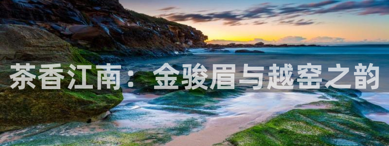 鸿运链锁管理平台