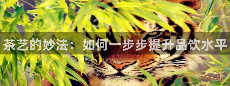 鸿运达交易平台