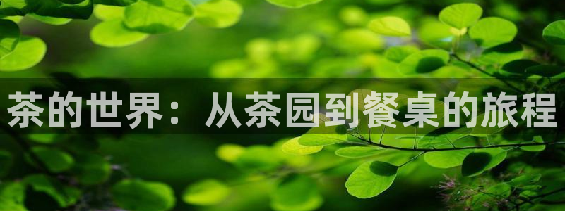 长鸿运营平台