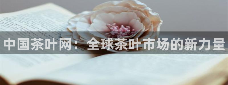 鸿运挖矿平台注册