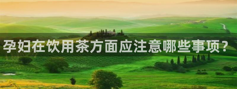 鸿运时时彩平台