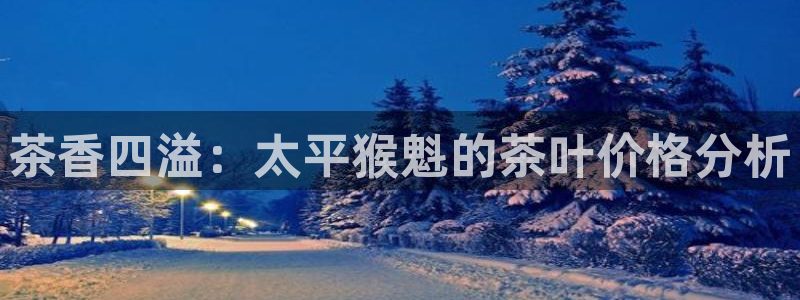 鸿运宝投资平台