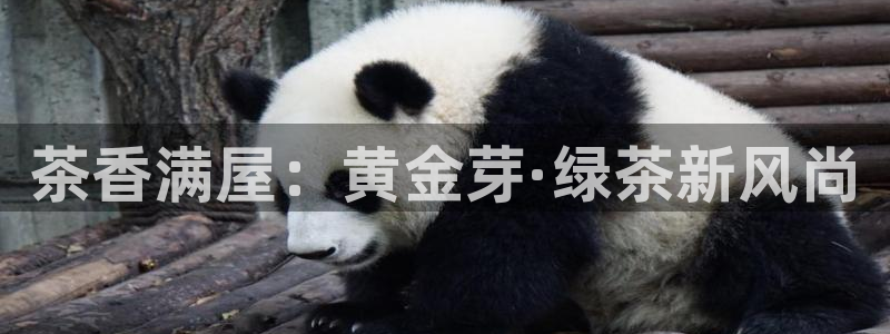 鸿运交易平台