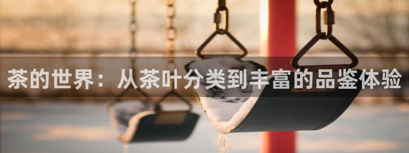 鸿运体育平台网址是什么