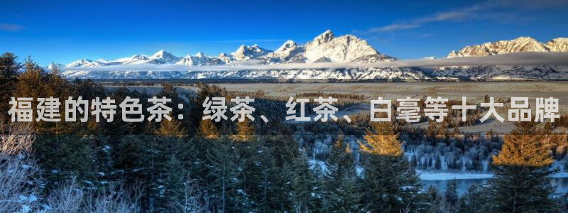鸿运彩票平台下载