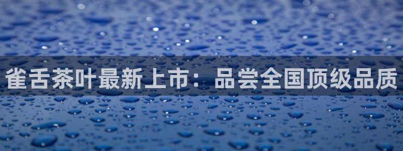 鸿运当头借款平台