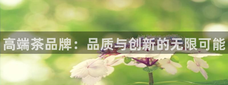 鸿运平台注册
