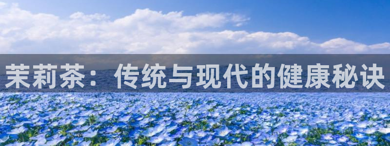 鸿运平台是干嘛的