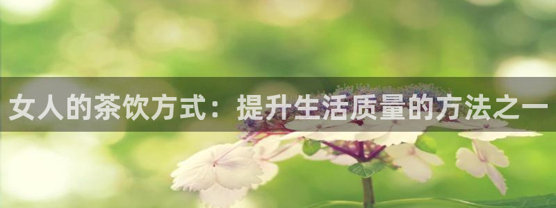 鸿运团队推广平台