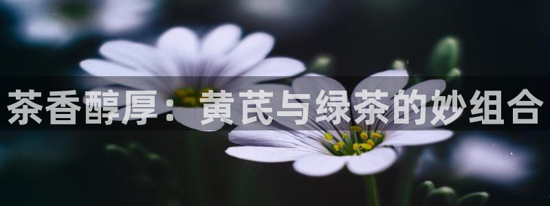 鸿运彩票app平台
