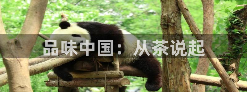 鸿运彩票平台下载