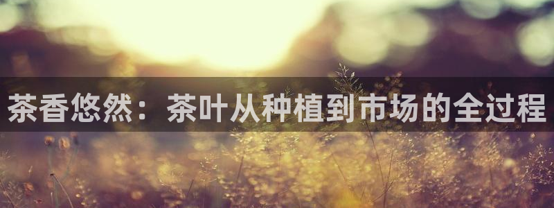 鸿运商通管理平台