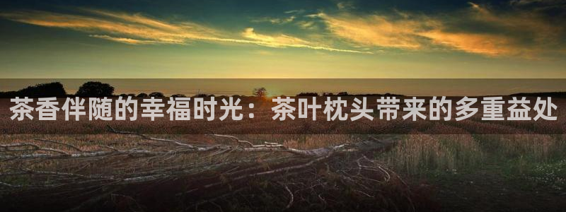 鸿运平台测速