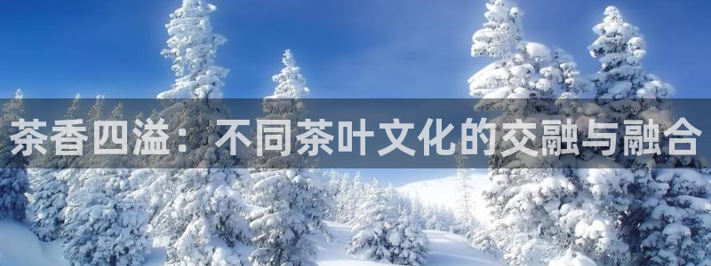 鸿运满堂网上平台