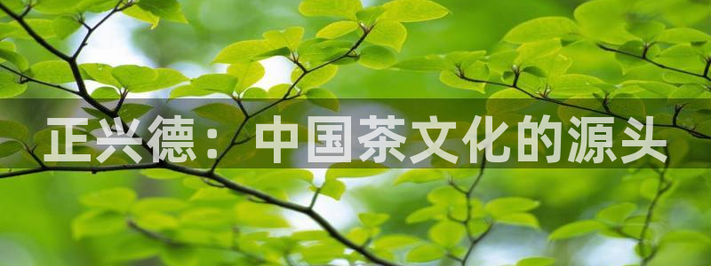 鸿运平台刷投注