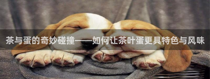 鸿运购彩平台