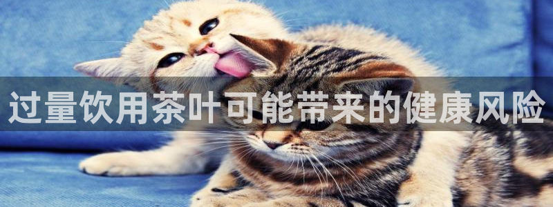 鸿运集团平台招聘