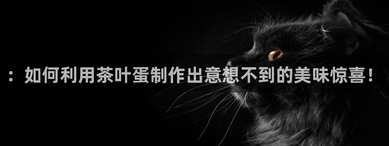 鸿运彩票网络平台官网