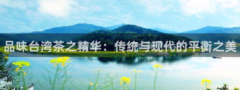 鸿运聊平台
