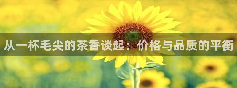 鸿运网投平台