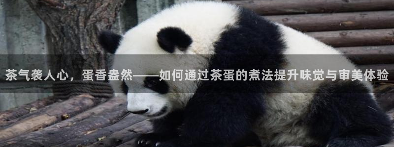 鸿运体彩平台