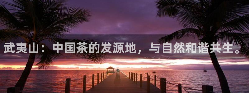 鸿运直接平台