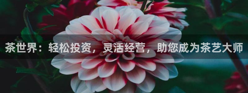 鸿运当头翡翠平台