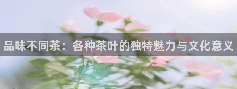 鸿运来是什么平台