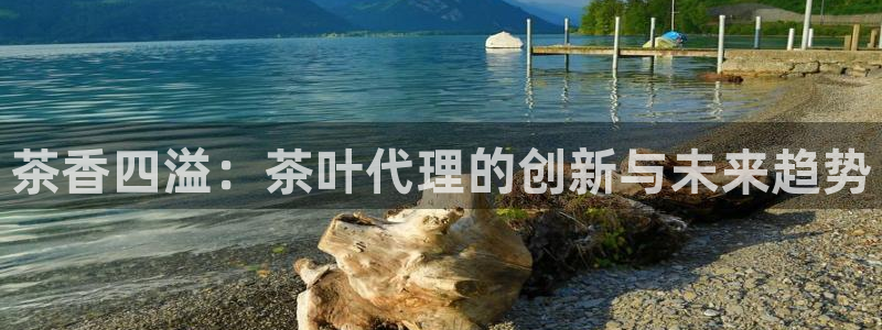 鸿运服务平台官网