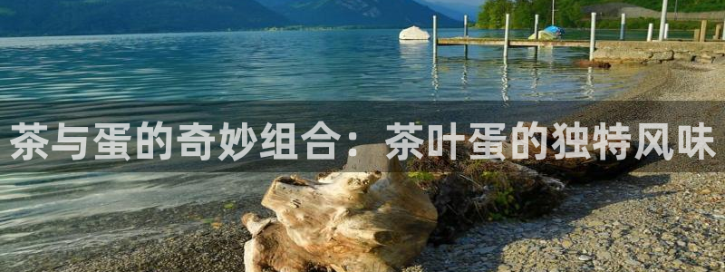 鸿运合拍是什么平台