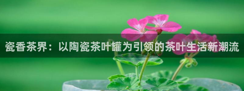 鸿运升降机械平台