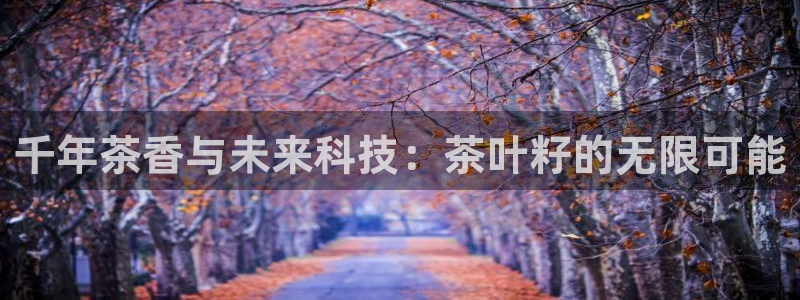鸿运直播间平台