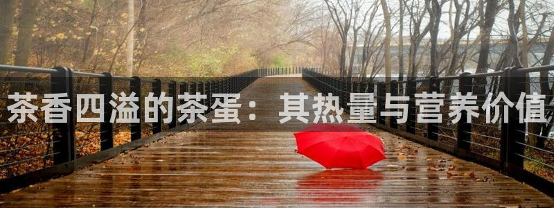 邹平台子鸿运