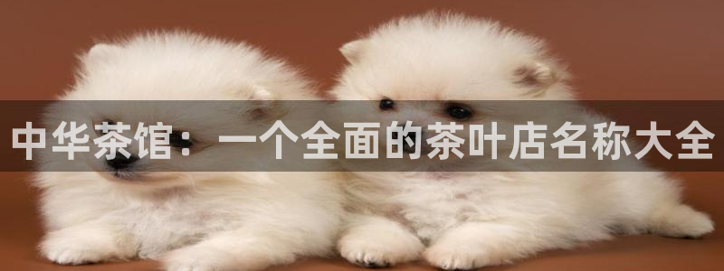 鸿运信投是平台