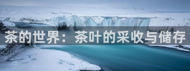 鸿运平台招商注册