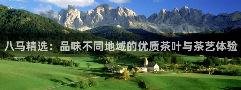鸿运商滴管理平台