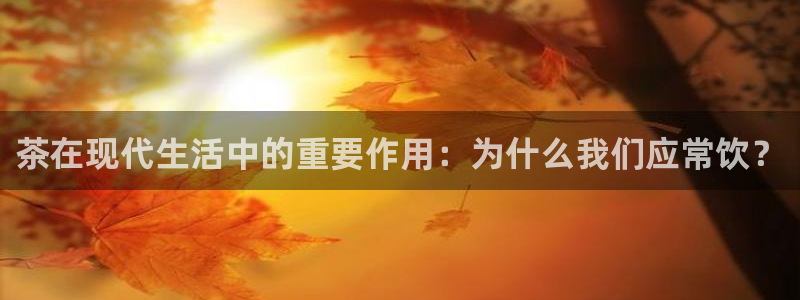 鸿运CT平台