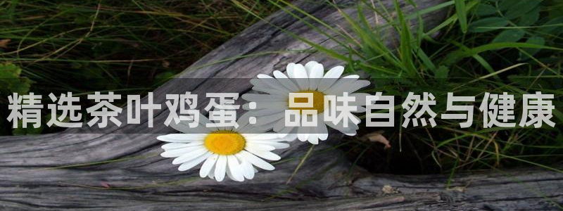 鸿运卡盟平台链接