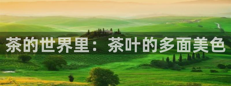 鸿运通借款平台
