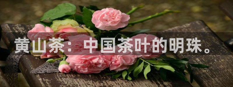 鸿运国际网址平台