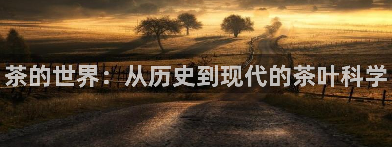 鸿运游戏直播平台