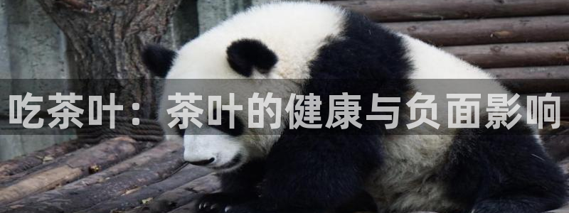 鸿运平台是骗子平台吗