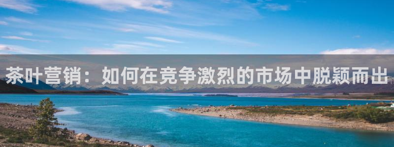 鸿运团队推广平台